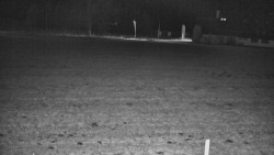 Rejvíz - Běžecké stopy