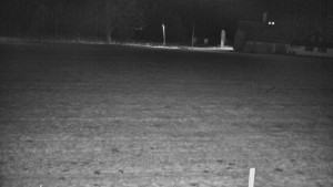 Rejvíz - Běžecké stopy - Rejvíz - Běžecké stopy - 16.12.2025 v 01:00 Rejvíz - Běžecké stopy - Rejvíz - Běžecké stopy - 16.12.2025 v 01:00