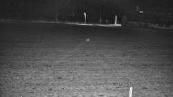 Rejvíz - Běžecké stopy