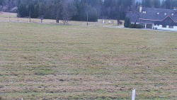 Rejvíz - Běžecké stopy