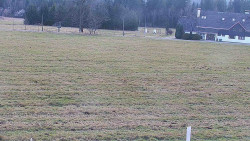 Rejvíz - Běžecké stopy