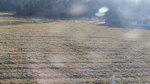 Rejvíz - Běžecké stopy - Rejvíz - Běžecké stopy - 18.12.2025 v 14:00 Rejvíz - Běžecké stopy - Rejvíz - Běžecké stopy - 18.12.2025 v 14:00