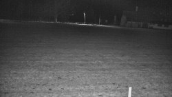 Rejvíz - Běžecké stopy