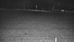 Rejvíz - Běžecké stopy