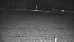 Rejvíz - Běžecké stopy