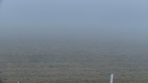 Rejvíz - Běžecké stopy - Rejvíz - Běžecké stopy - 23.12.2025 v 08:00 Rejvíz - Běžecké stopy - Rejvíz - Běžecké stopy - 23.12.2025 v 08:00