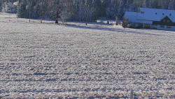 Rejvíz - Běžecké stopy
