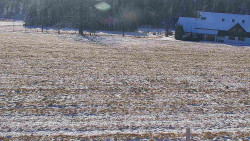 Rejvíz - Běžecké stopy