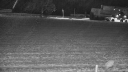 Rejvíz - Běžecké stopy