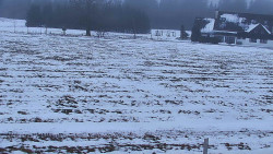 Rejvíz - Běžecké stopy