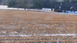 Rejvíz - Běžecké stopy