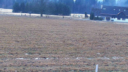 Rejvíz - Běžecké stopy