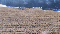 Rejvíz - Běžecké stopy