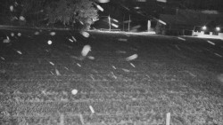 Rejvíz - Běžecké stopy