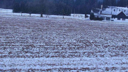 Rejvíz - Běžecké stopy