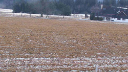 Rejvíz - Běžecké stopy