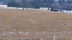 Rejvíz - Běžecké stopy