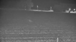 Rejvíz - Běžecké stopy