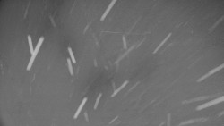 Rejvíz - Běžecké stopy