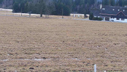 Rejvíz - Běžecké stopy