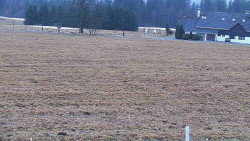 Rejvíz - Běžecké stopy