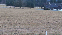 Rejvíz - Běžecké stopy