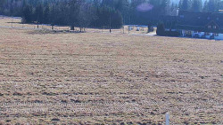 Rejvíz - Běžecké stopy