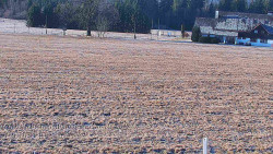 Rejvíz - Běžecké stopy