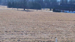 Rejvíz - Běžecké stopy