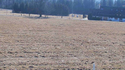 Rejvíz - Běžecké stopy