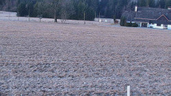 Rejvíz - Běžecké stopy