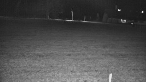 Rejvíz - Běžecké stopy - Rejvíz - Běžecké stopy - 10.3.2026 v 00:00 Rejvíz - Běžecké stopy - Rejvíz - Běžecké stopy - 10.3.2026 v 00:00