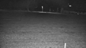 Rejvíz - Běžecké stopy - Rejvíz - Běžecké stopy - 10.3.2026 v 01:00 Rejvíz - Běžecké stopy - Rejvíz - Běžecké stopy - 10.3.2026 v 01:00