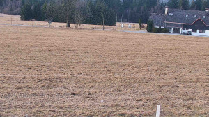 Rejvíz - Běžecké stopy - Rejvíz - Běžecké stopy - 10.3.2026 v 07:00 Rejvíz - Běžecké stopy - Rejvíz - Běžecké stopy - 10.3.2026 v 07:00