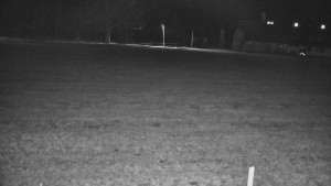 Rejvíz - Běžecké stopy - Rejvíz - Běžecké stopy - 10.3.2026 v 23:00 Rejvíz - Běžecké stopy - Rejvíz - Běžecké stopy - 10.3.2026 v 23:00