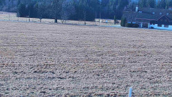 Rejvíz - Běžecké stopy