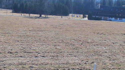 Rejvíz - Běžecké stopy