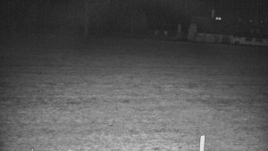 Rejvíz - Běžecké stopy - Rejvíz - Běžecké stopy - 17.3.2026 v 00:00 Rejvíz - Běžecké stopy - Rejvíz - Běžecké stopy - 17.3.2026 v 00:00