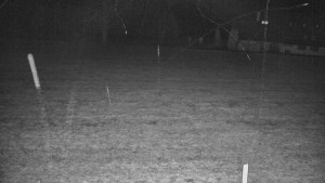 Rejvíz - Běžecké stopy - Rejvíz - Běžecké stopy - 17.3.2026 v 01:00 Rejvíz - Běžecké stopy - Rejvíz - Běžecké stopy - 17.3.2026 v 01:00