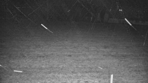 Rejvíz - Běžecké stopy - Rejvíz - Běžecké stopy - 17.3.2026 v 02:00 Rejvíz - Běžecké stopy - Rejvíz - Běžecké stopy - 17.3.2026 v 02:00