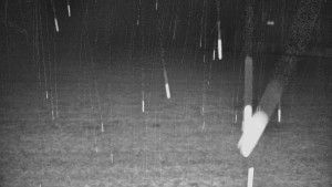 Rejvíz - Běžecké stopy - Rejvíz - Běžecké stopy - 17.3.2026 v 03:00 Rejvíz - Běžecké stopy - Rejvíz - Běžecké stopy - 17.3.2026 v 03:00