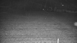 Rejvíz - Běžecké stopy