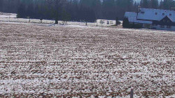 Rejvíz - Běžecké stopy