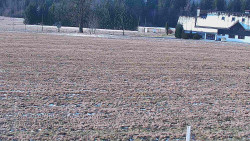 Rejvíz - Běžecké stopy