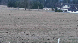 Rejvíz - Běžecké stopy