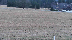 Rejvíz - Běžecké stopy