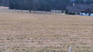 Rejvíz - Běžecké stopy - Rejvíz - Běžecké stopy - 23.3.2026 v 10:00 Rejvíz - Běžecké stopy - Rejvíz - Běžecké stopy - 23.3.2026 v 10:00