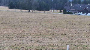 Rejvíz - Běžecké stopy - Rejvíz - Běžecké stopy - 23.3.2026 v 11:00 Rejvíz - Běžecké stopy - Rejvíz - Běžecké stopy - 23.3.2026 v 11:00