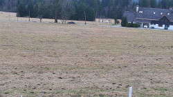 Rejvíz - Běžecké stopy