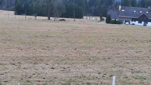 Rejvíz - Běžecké stopy - Rejvíz - Běžecké stopy - 23.3.2026 v 12:00 Rejvíz - Běžecké stopy - Rejvíz - Běžecké stopy - 23.3.2026 v 12:00